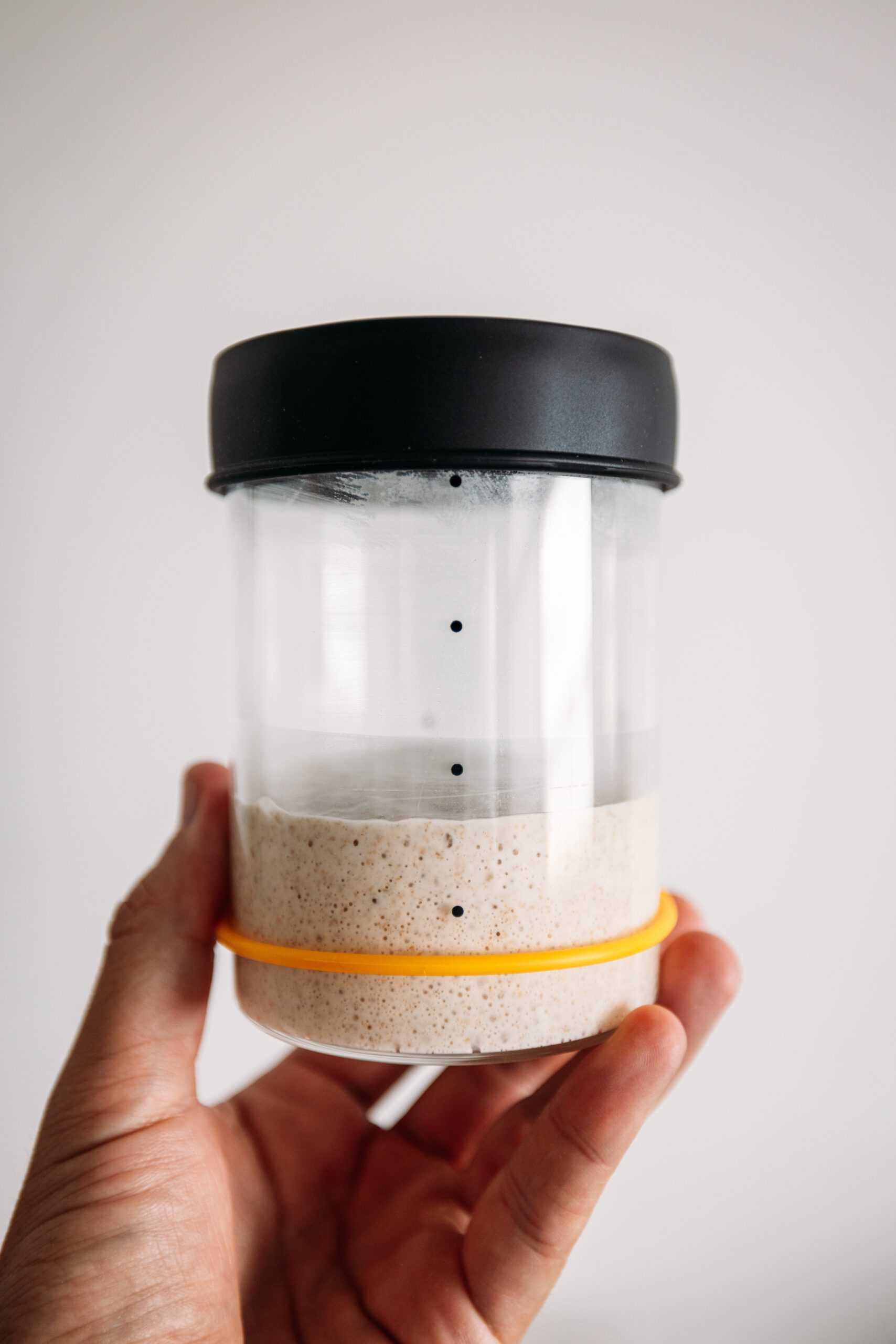 Ultimate Sourdough Starter Guide